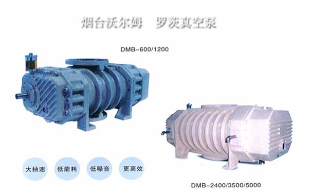 VOLM羅茨真空泵-煙臺沃爾姆真空技術有限公司