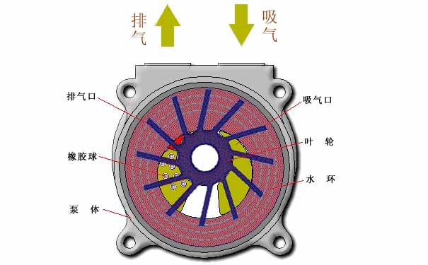 水環(huán)真空泵的工作原理是什么_水環(huán)真空泵的工作原理圖