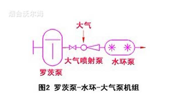 羅茨泵-水環-大氣泵機組